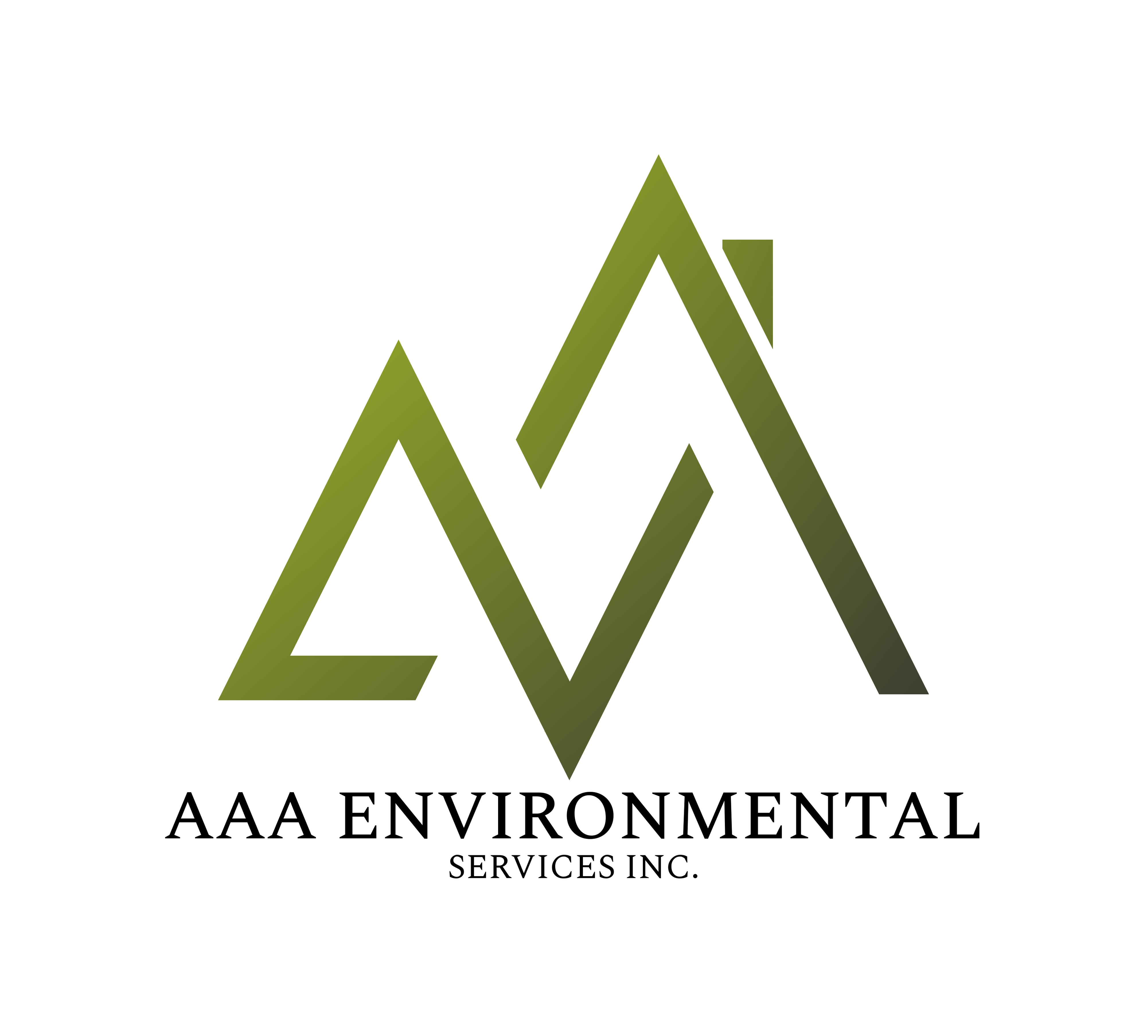 AAA Enviromental Services Inc