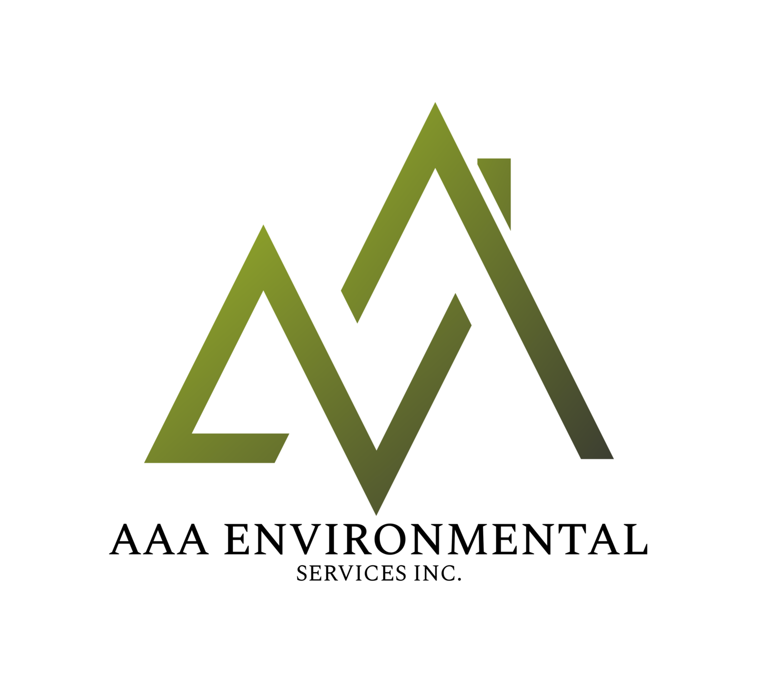 AAA Enviromental Services Inc